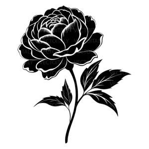 Pion svg, pionblomma clipart, ros svg, rosblomma vektor, Cricut ros mall