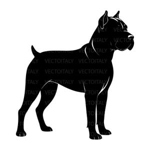 May include: A solid black silhouette graphic of a Cane Corso dog standing in profile, facing right. The design features sharp, clean lines defining the muscular build, cropped ears, and docked tail of the canine, with the text VECTOITALY repeated.