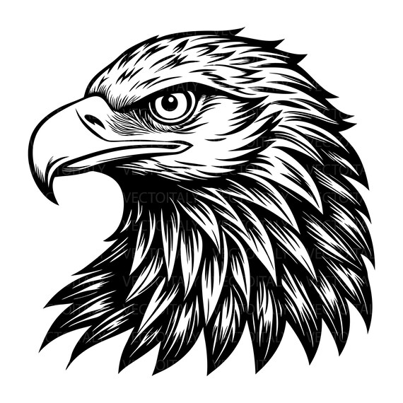Heren T-shirt met korte mouwen en ronde hals, Amerikaans ontwerp met