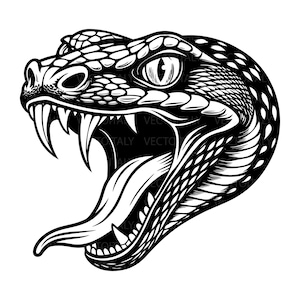 Peut inclure: Illustration en noir et blanc d'une tête de serpent avec la gueule ouverte, révélant des crocs et une longue langue. Les écailles du serpent sont détaillées et son œil est concentré. L'image est de style vectoriel.