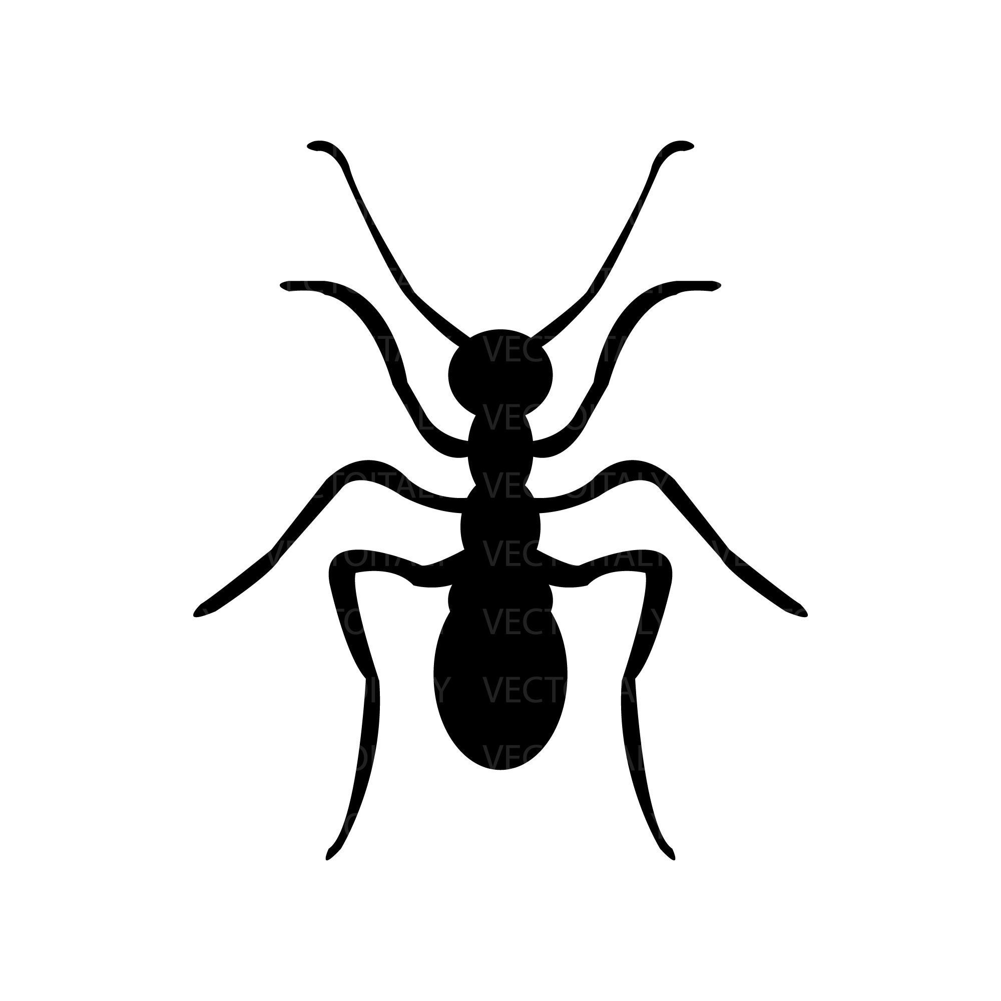 Ant Svg Cutting Image, Ant Clip Art Svg, Ant Pdf Clipart, Ant Vinyl Cut ...