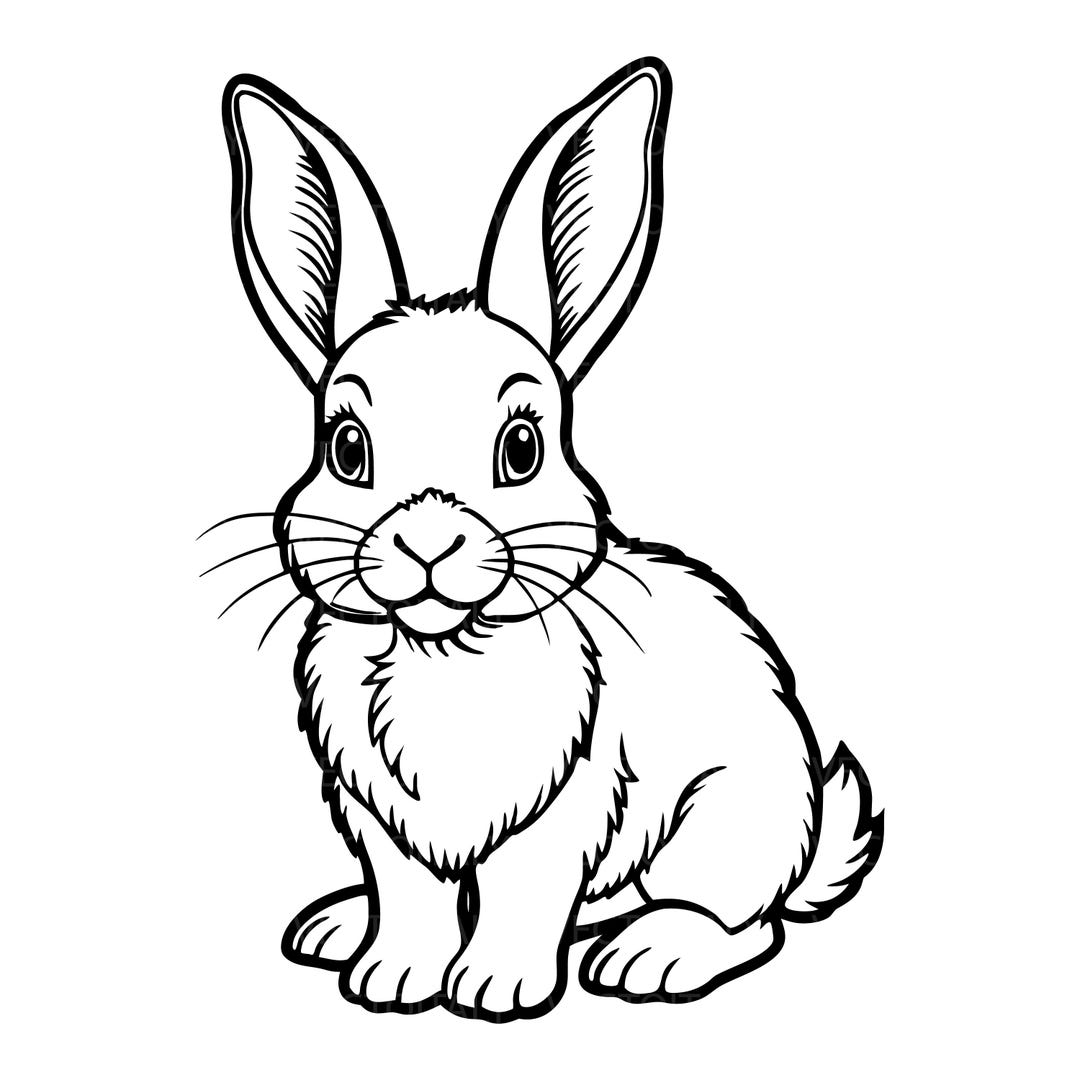 Cute Baby Bunny Svg Png Eps Pdf | Transparent Vector Graphic Design Cut ...