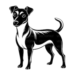 Jack Russell SVG Silhouette Clipart, Family Pet, Window Decal, Terrier Stamp, Kids Shirt, Cricut File, Dog Lover, Digital Download