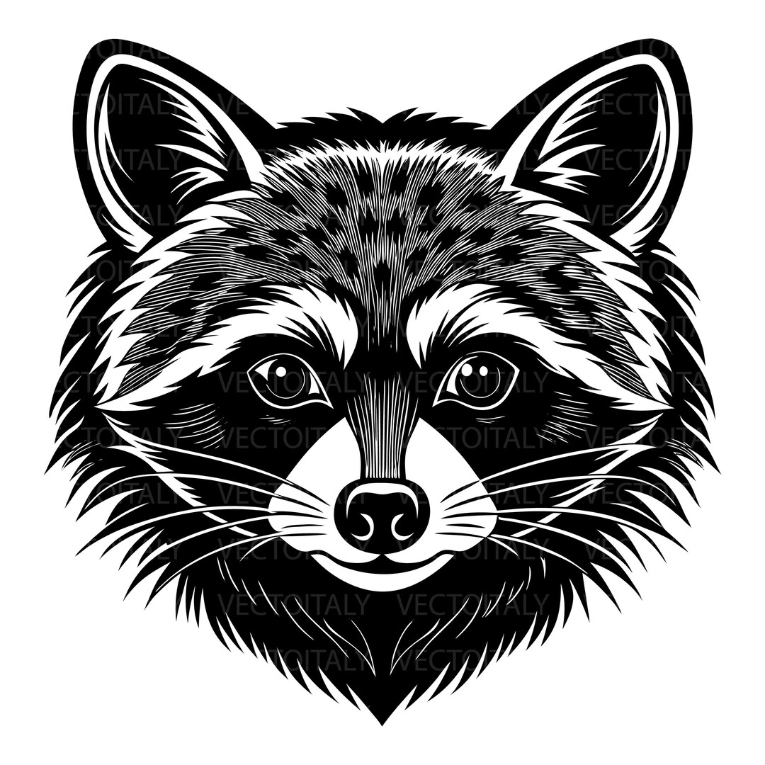 Racoon Svg Cut File Racoon Vector Image Animal Svg Racoon Cutting File ...