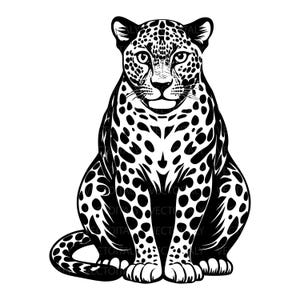 Può includere: Un'illustrazione grafica in bianco e nero di un leopardo seduto rivolto in avanti. Il felino presenta macchie dettagliate su tutto il corpo, orecchie a punta e una lunga coda arricciata alla base. Il design utilizza linee ad alto contrasto.