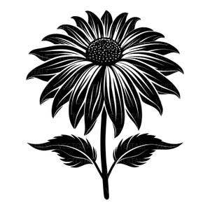 Può includere: Illustrazione floreale in bianco e nero di un girasole. Il fiore ha grandi petali e un centro dettagliato. Lo stelo ha due foglie. L'immagine è una grafica vettoriale.