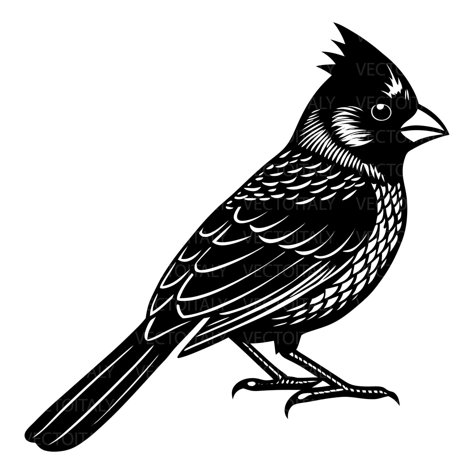 Birding Cardinal SVG Cardinal Clip Art Cardinal Cut File Cardinal ...