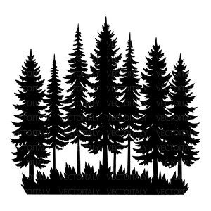 May include: A black and white silhouette of a forest scene. The image features several tall pine trees with detailed branches and needles, set against a white background. The trees are rooted in a bed of grass.