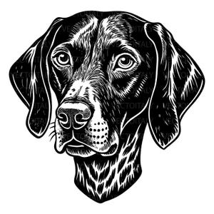 POINTER Dog SVG, POINTER Clipart, Pointer Svg Files For Cricut, Pointer Silhouette Svg, Dog svg