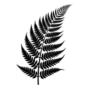 Può includere: Silhouette nera di una foglia di felce su sfondo bianco. La felce ha uno stelo centrale con numerose foglioline che si diramano su entrambi i lati, creando un aspetto dettagliato e strutturato. La forma generale è allungata e leggermente curva.