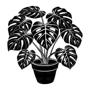 May include: Black and white illustration of a Monstera plant in a pot. The plant features large, split leaves and is set against a white background. The pot is black and cylindrical, with the text "ITALY VECTOR" around the base.