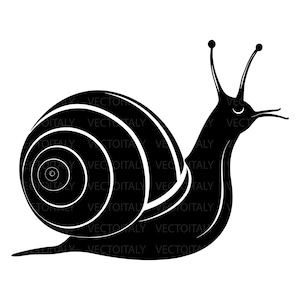 Può includere: Grafica in bianco e nero di una lumaca. Il corpo della lumaca è nero, con un design a conchiglia a spirale bianca. La lumaca ha due antenne ed è raffigurata di profilo.