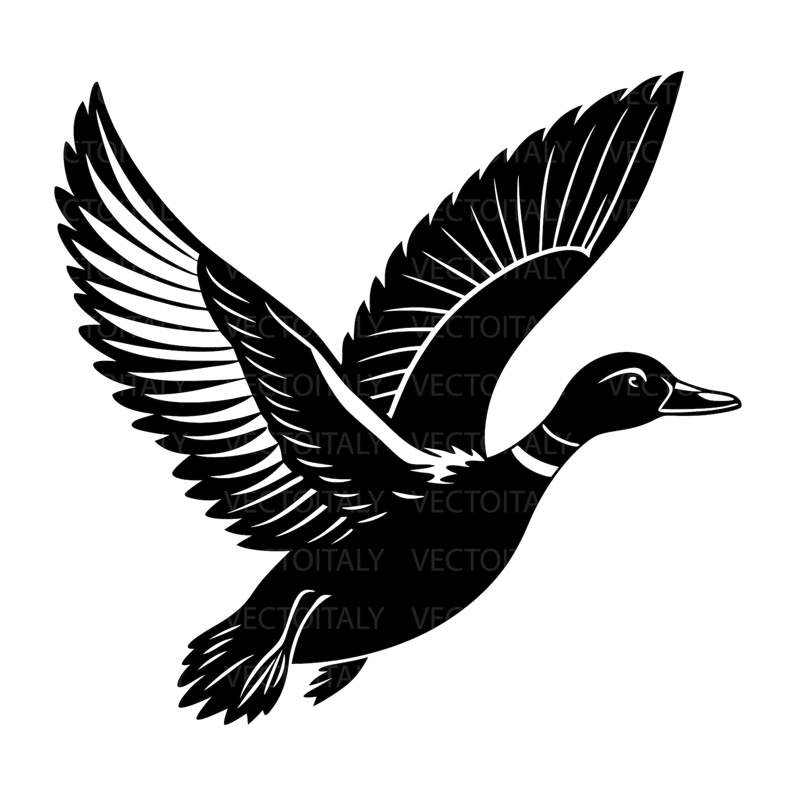 Flying Mallard Duck Svg Png Pdf Eps, Vector Graphic Design Cut Print ...
