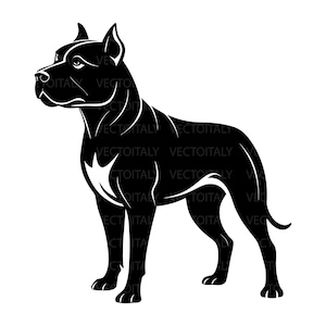 Puede incluir: Gráfico en blanco y negro de un perro en posición de pie. El perro es una raza musculosa con pelaje corto, orejas puntiagudas y una constitución fuerte. El texto "VECTOITALY" se repite en la imagen.