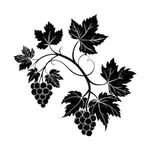 Può includere: Illustrazione in bianco e nero di una vite con grappoli d'uva e grandi foglie. Il design presenta un fusto sinuoso con foglie dettagliate e grappoli d'uva, ideale per lavori artigianali o decorazioni a tema vino.