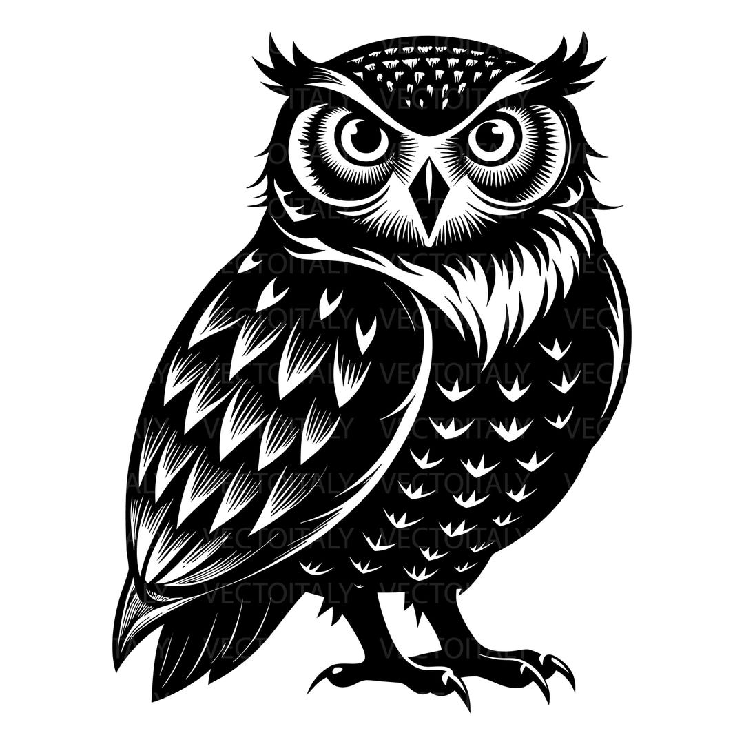 Snowy Owl SVG PNG Clipart Cut Files for Cricut, Silhouette, Laser ...
