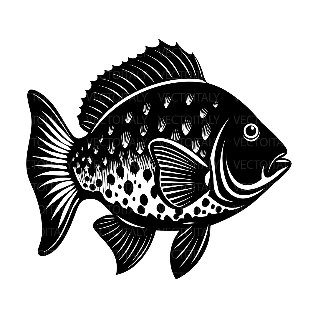 Crappie Fish Graphics CRAPPIE Fish-fishing Clipart-vector Clip Art Graphics-digital Download ...