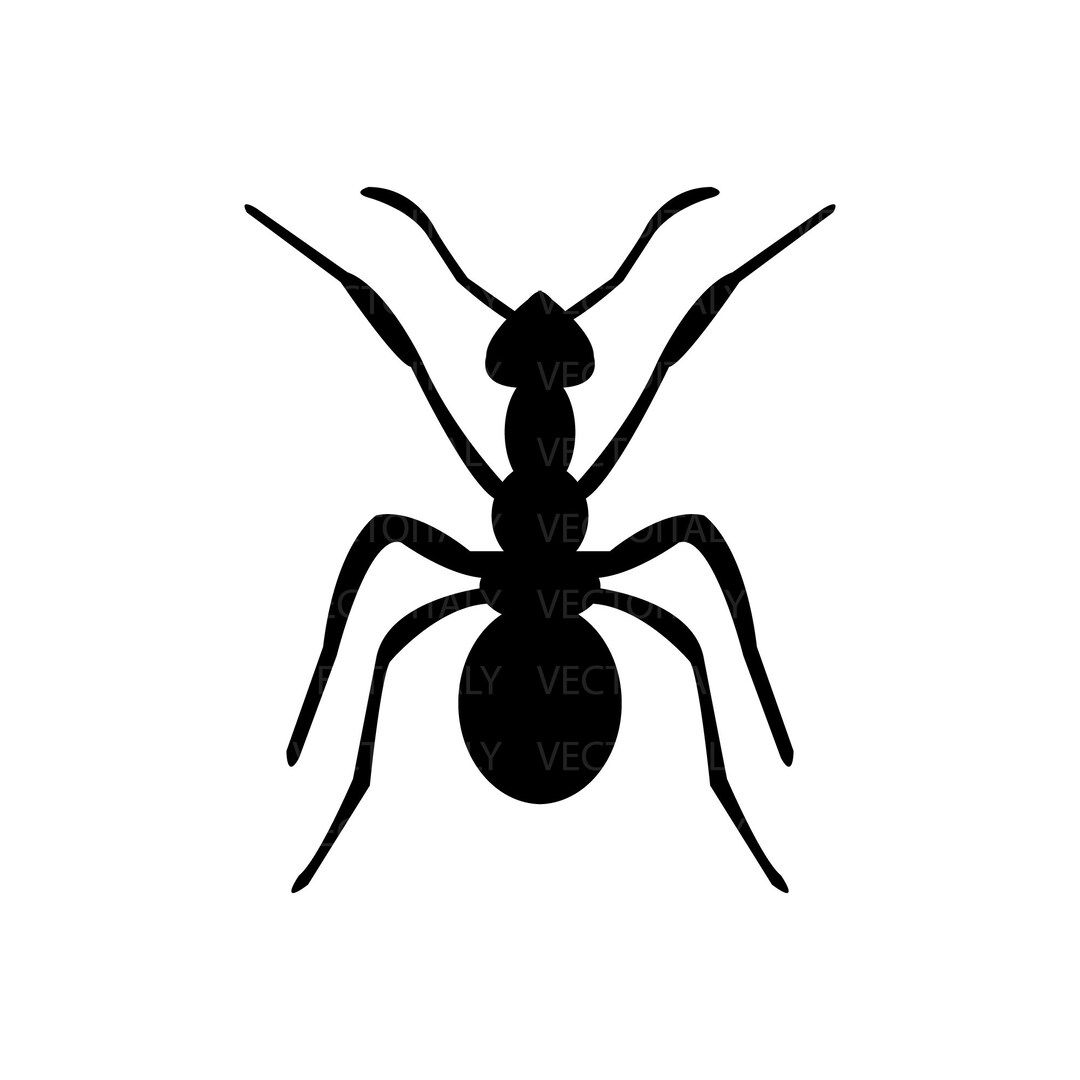 Ant Svg Cutting Image, Ant Clip Art Svg, Ant Pdf Clipart, Ant Vinyl Cut ...