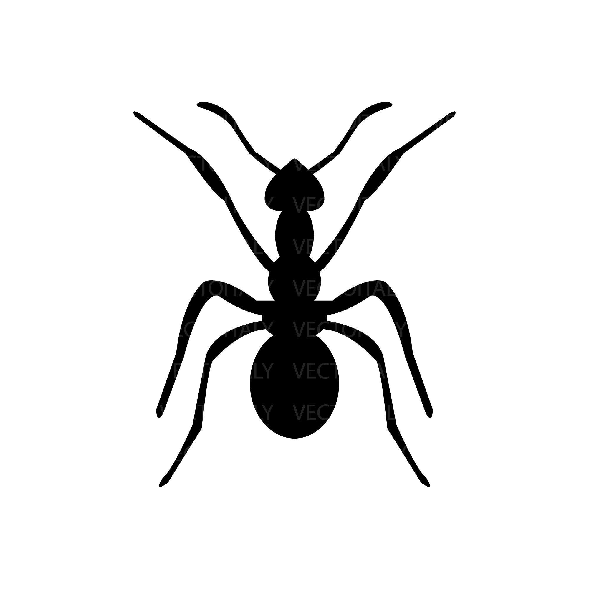 Ant Svg Cutting Image, Ant Clip Art Svg, Ant Pdf Clipart, Ant Vinyl Cut ...
