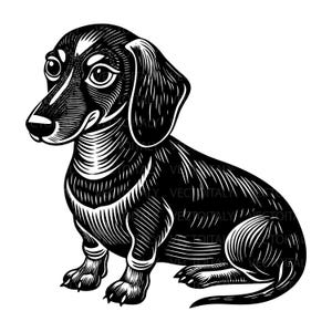 Dachshund Dog Sit Sitting Breed Smiling Happy Paw Puppy Pup Pet Purebred Pedigree Animal Art Logo SVG PNG Clipart Vector Cricut Cut Cutting