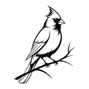 May include: A black and white illustration of a cardinal bird perched on a branch. The bird is depicted in a stylized, graphic design with detailed feathers and a prominent crest. The branch is also black, contrasting against the white background.