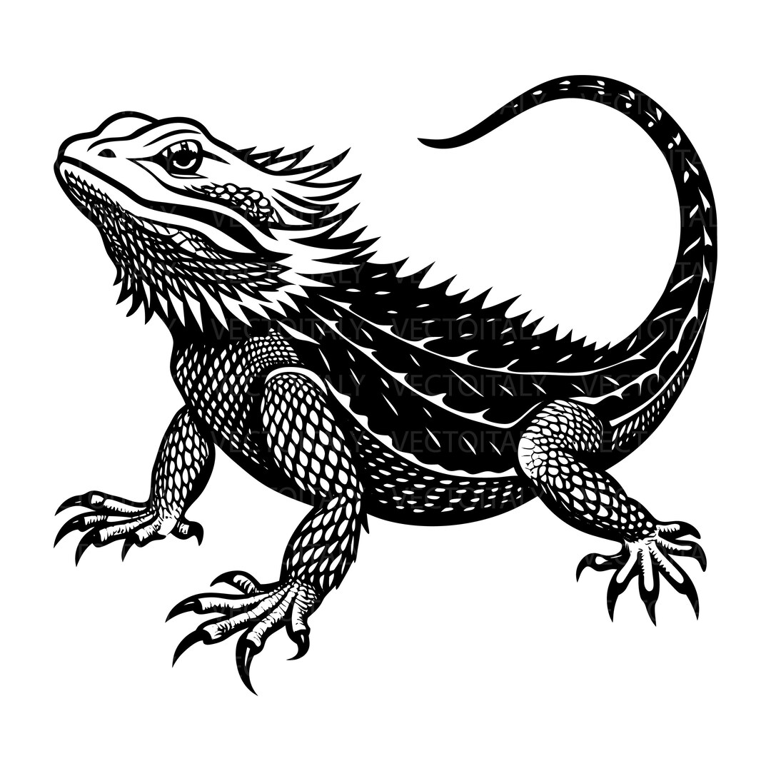 Bearded Dragon Design, Svg Png Jpeg Eps Pdf, Vector Graphic Cut File ...