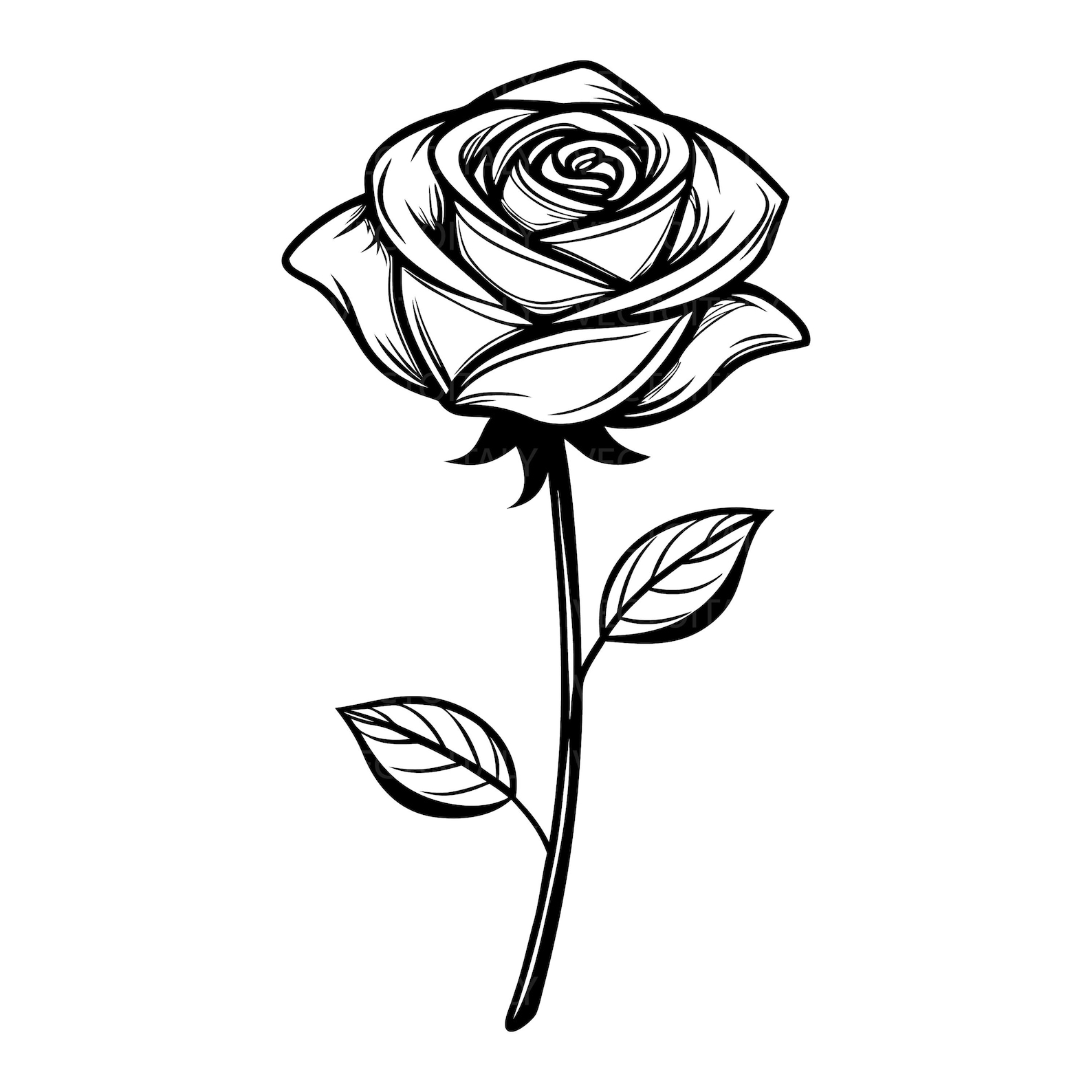 Line Drawing Rose Bitmap Image Long Stem Rose Download Vector Cut File, Bmp, Png, Jpg Cricut ...