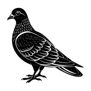 Pigeon Bird Design, svg png eps pdf, vector graphic cut file laser clip art, instant digital download commercial use