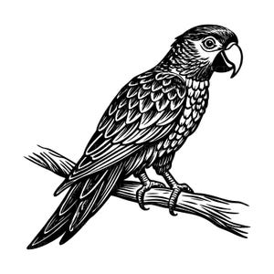 May include: Black and white illustration of a parrot perched on a branch. The parrot has detailed feather patterns and a curved beak. The branch is also illustrated with detailed lines, creating a textured appearance against the white background.