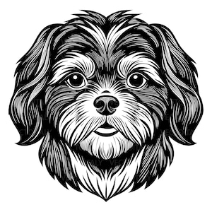 Shih Tzu SVG, Dog SVG, PNG, eps, instant download, digital download, Dog Silhouette, Dog Vector Image, Dog Clipart