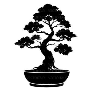 May include: A black silhouette of a bonsai tree planted in a shallow, round ceramic pot. The tree features a thick, textured trunk with exposed roots and multiple branches extending outward, topped with dense, rounded clusters of foliage.
