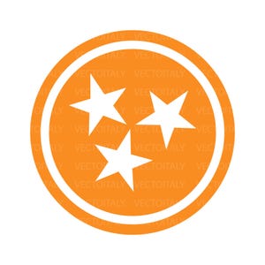 May include: A circular orange graphic with three white stars inside a white-bordered circle. The text "VECTOITALY" is repeated around the outer edge of the circle.
