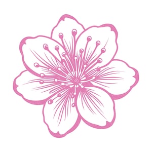 May include: A stylized pink and white flower illustration. The flower has five petals with a detailed center and delicate lines. The design is a vector graphic, perfect for floral-themed crafts and designs.