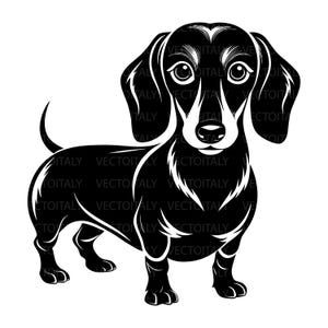 Può includere: Illustrazione in bianco e nero di un cane bassotto. Il cane è in piedi, rivolto in avanti, con grandi orecchie flosce e un corpo lungo. L'immagine ha uno stile di design pulito e grafico, adatto a varie applicazioni.