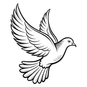 Flying Dove outline, Detailed High Quality, Vector [svg eps pdf  png] Clipart
