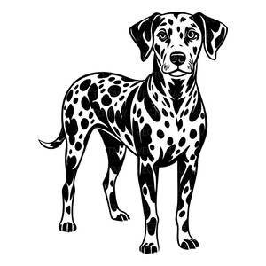 以下が含まれることがあります： 横向きに立つダルメシアン犬の白黒グラフィックイラスト。白い背景に黒い斑点がはっきりと描かれた特徴的な毛並みの模様で、くっきりとした線と高いコントラストで表現されています。