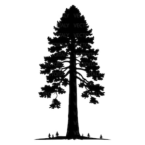 May include: A solid black silhouette of a tall, coniferous tree with a pointed top and layered branches, featuring a thick central trunk and several smaller, miniature tree silhouettes positioned along the base line at the bottom of the image.