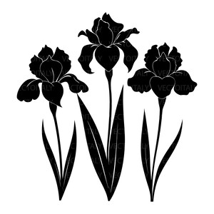 Può includere: Un grafico a silhouette nera che presenta tre fiori di iris con petali dettagliati e foglie lunghe e appuntite. Il design include un testo filigranato ripetuto VEC TO ITALY sulle forme floreali su uno sfondo bianco.