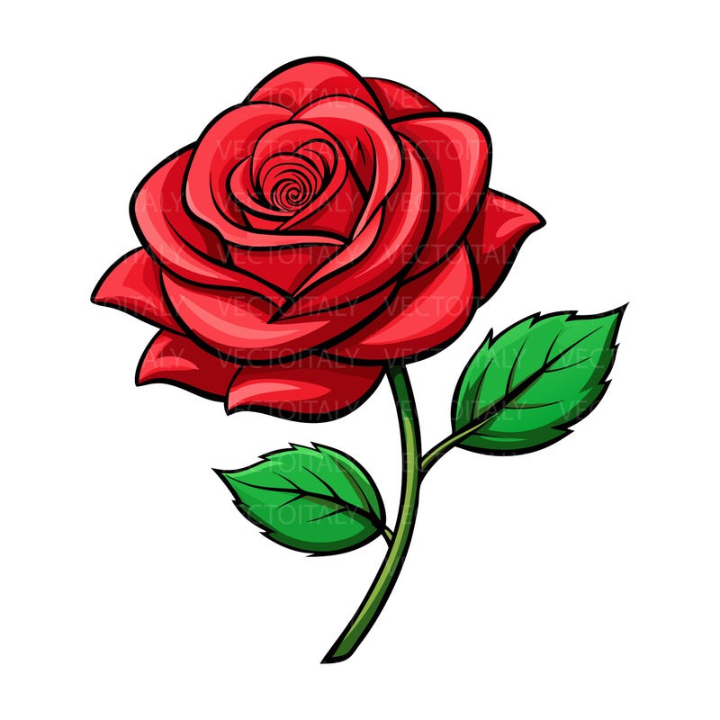 Simple Roses Drawing - Etsy UK