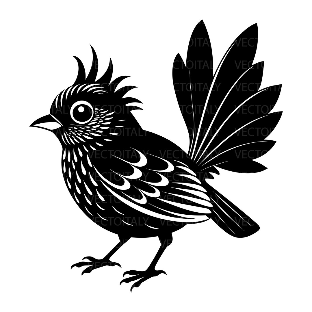 Fantail Bird Vector, New Zealand Sparrow Image (digital Download) - Etsy
