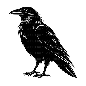 May include: A black and white illustration of a raven. The raven is depicted in profile, with its beak slightly open. The bird's feathers are detailed with white lines, and the text "VECTOITALY" is repeated throughout the image.