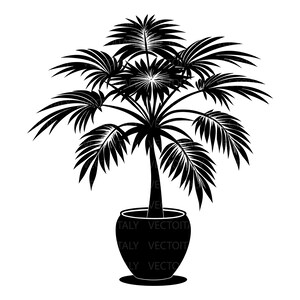 Può includere: Una silhouette grafica nera di una palma in vaso. Il design presenta un tronco centrale che si estende verso l'alto da un vaso arrotondato di colore nero solido, con molteplici foglie di palma lunghe e appuntite che si irradiano verso l'esterno.