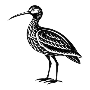 May include: A black and white illustration of a bird with a long, curved beak. The bird has detailed feather patterns and stands on two thin legs. The design is a vector graphic, suitable for various applications.
