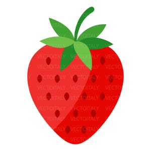 Può includere: Illustrazione di una fragola rossa brillante con foglie e stelo verdi. Il frutto presenta piccoli semi scuri e distanziati. Il testo "VECTOITALY" è ripetuto nell'immagine.