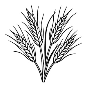 Può includere: Illustrazione in bianco e nero di spighe di grano. L'immagine presenta diverse spighe di grano con rappresentazioni dettagliate delle teste di grano e lunghe foglie sottili. Il design è semplice ed elegante, adatto a varie applicazioni.