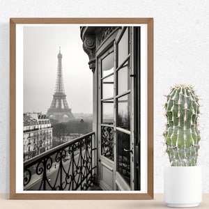 May include: Black and white framed print of the Eiffel Tower viewed from a balcony with ornate ironwork. A green cactus in a white pot sits to the right of the framed print. The print is in a brown wooden frame.