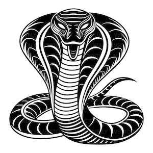 Cobra SVG, Snake SVG, Cobra Clipart, Cobra Files For Cricut, Cobra Cut Files For Silhouette, Cobra Pdf, Cobra Png, Cobra Eps, Cobra Vector