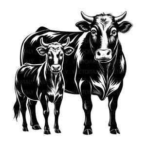 May include: A black and white graphic illustration of a large cow standing next to a smaller calf. Both animals are depicted in a high-contrast style with detailed line work, facing forward, and featuring the repeated watermark text VECTOITALY.