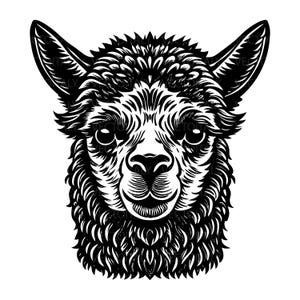 Può includere: Illustrazione in bianco e nero del volto di un alpaca. L'alpaca ha grandi occhi, un collo soffice e orecchie a punta. L'immagine è un disegno dettagliato e stilizzato.