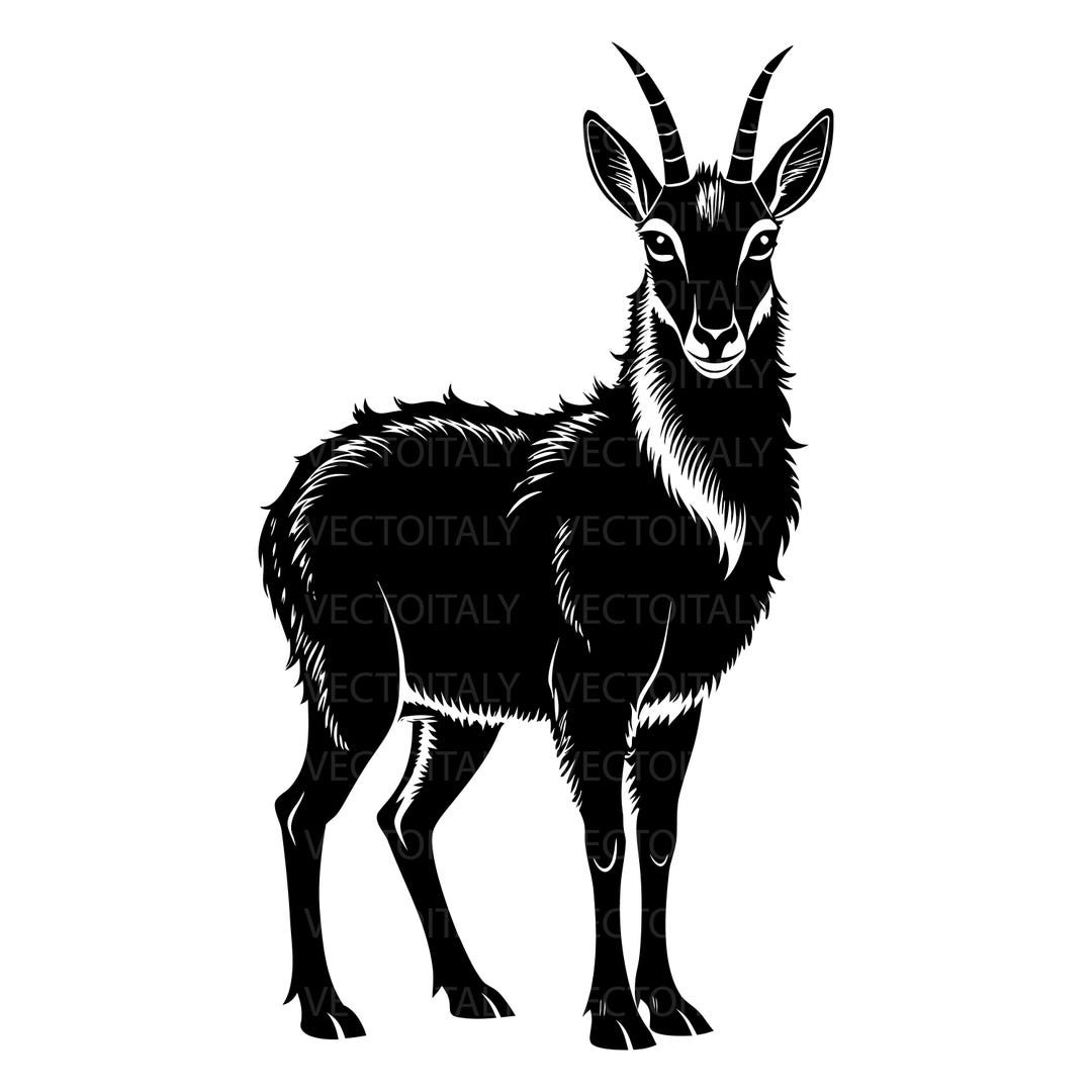 New Zealand Chamois Vector Art (digital Download) - Etsy